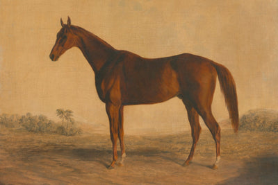John Bascombe