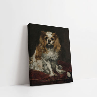 KING CHARLES SPANIEL