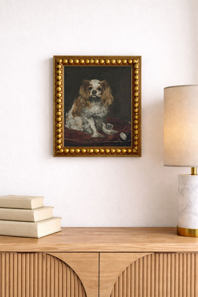King Charles Spaniel