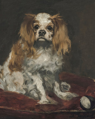 KING CHARLES SPANIEL