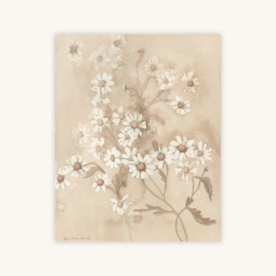 LA CAMOMILLE — Primary Image