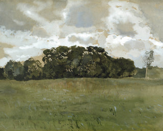 LANDSCAPE WITH GREY CLOUDS