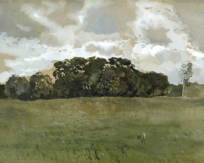 LANDSCAPE WITH GREY CLOUDS