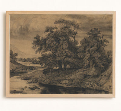 Landscape With Large Trees