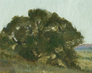 LANDSCAPE 4 - Museum Quality Art