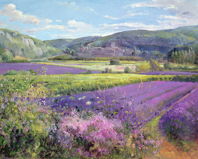 LAVENDER FIELDS IN OLD PROVENCE - Museum Quality Art