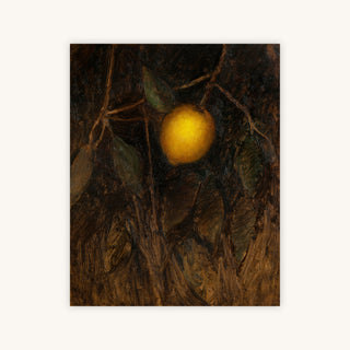 LEMON TREE STUDY — Primary Image