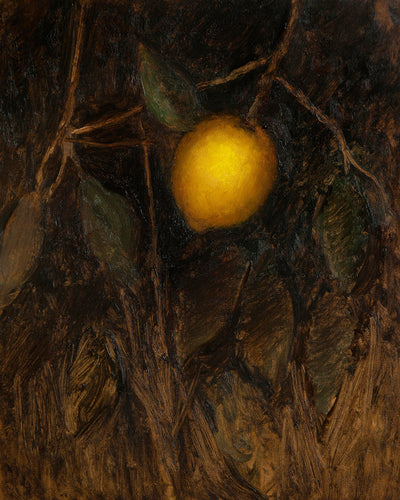 LEMON TREE STUDY