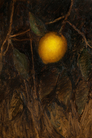 LEMON TREE STUDY