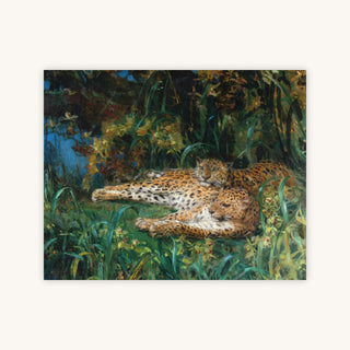 LEOPARDS — Primary Image