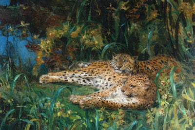 LEOPARDS