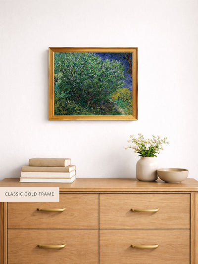 Lilac Bush