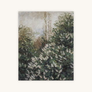 LILAC — Primary Image