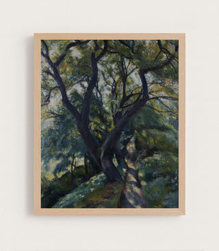 LIVE OAK - Museum Quality Art