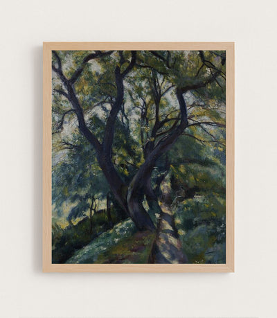 LIVE OAK - Museum Quality Art