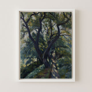 LIVE OAK - Museum Quality Art