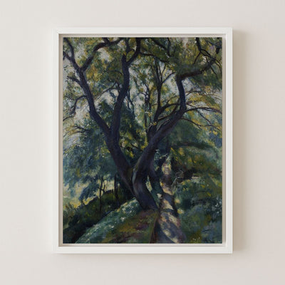 LIVE OAK - Museum Quality Art