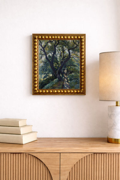 Live Oak