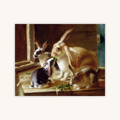 Long-eared Rabbits — Primary Image