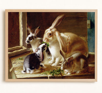 Long-Eared Rabbits