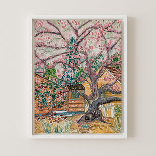 Magnolia Bloom