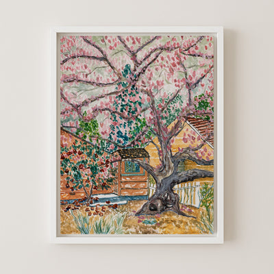Magnolia Bloom