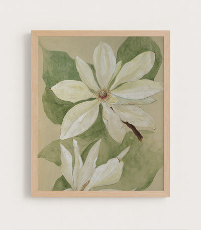 MAGNOLIA BLOSSOM I - Museum Quality Art