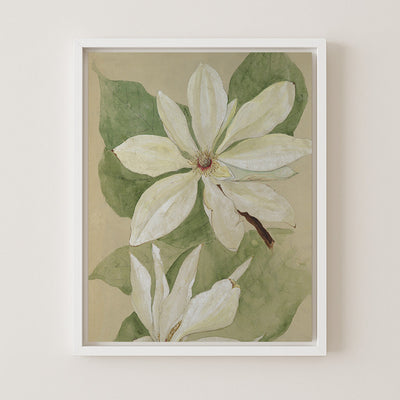 MAGNOLIA BLOSSOM I - Museum Quality Art