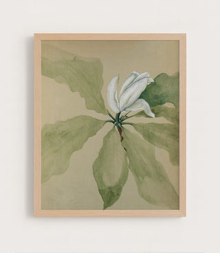 MAGNOLIA BLOSSOM II - Museum Quality Art