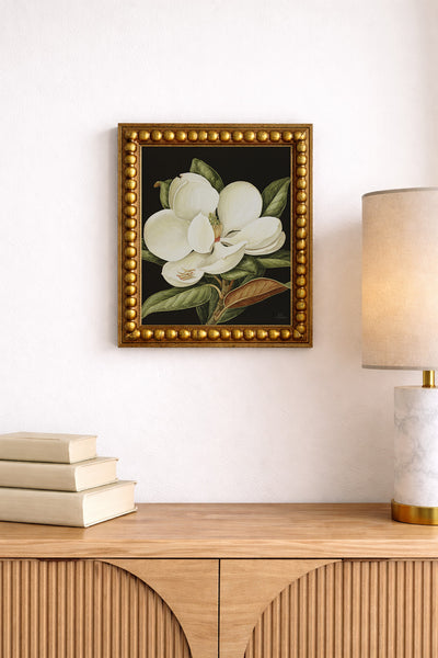 Magnolia Grandiflora