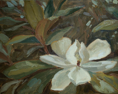 MAGNOLIA
