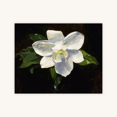 MAGNOLIA — Primary Image