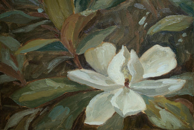 MAGNOLIA