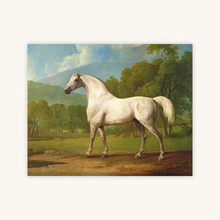MAMBRINO — Primary Image