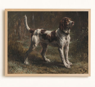 Man's Best Friend