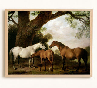 Mares and Foal