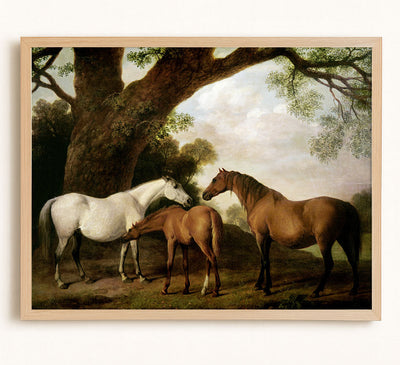 Mares and Foal