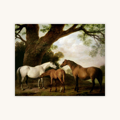 MARES AND FOAL — Primary Image