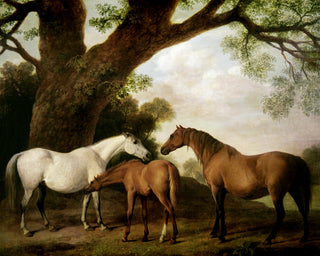 MARES AND FOAL