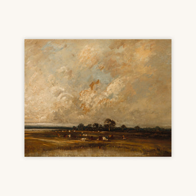 MARSHLAND — Primary Image