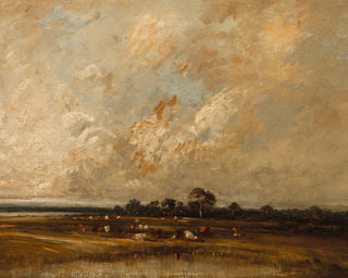 Marshland