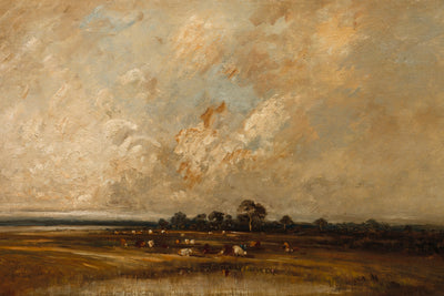 Marshland