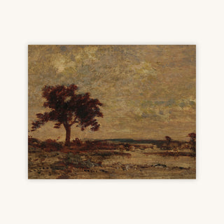 MARSHLANDS — Primary Image