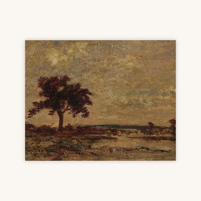 MARSHLANDS — Primary Image