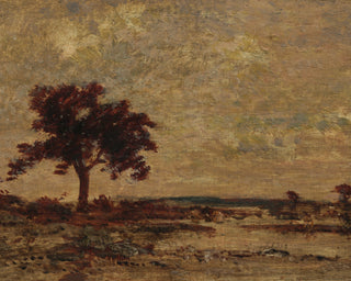 Marshlands