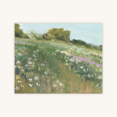 THE MEADOW II — Primary Image