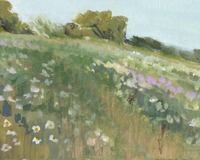 THE MEADOW II