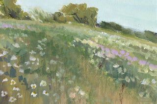 THE MEADOW II