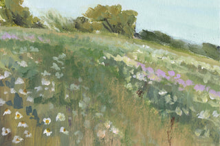 MEADOW II