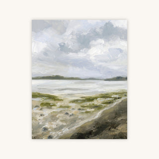 MISTY SHORE — Primary Image